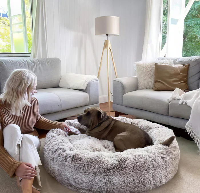 Snuggle Cloud Anti-Anxiety Dog Bed